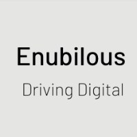 Enubilous Consulting Private Limited Avatar