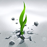 Audi Geotech Avatar