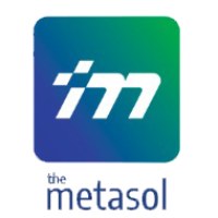 The Meta Solutions Avatar