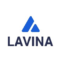 Lavina Tech LLC - your digital partner Avatar