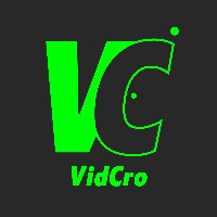 VidCro Avatar