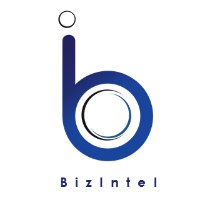 Bizintel LLC Avatar