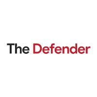 The Defender Avatar