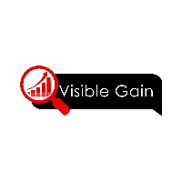 Visible Gain Avatar