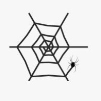 webexploit Avatar
