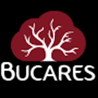 Bucares Avatar