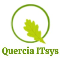 Quercia ITsys Avatar