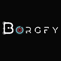 Borgfy Avatar