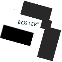 BOSTER TECH LTD Avatar