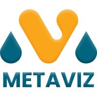 MetaViz Avatar