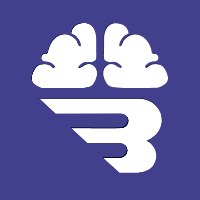 BrightMinds VIP Avatar
