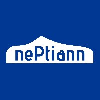 Neptiann Enterprises Avatar