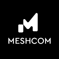 Mesh COM Avatar