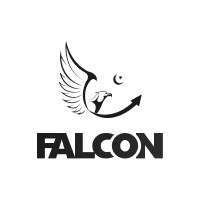 Falcon Consulting Avatar