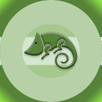 Gecko.web Avatar
