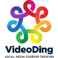 VideoDing Studio Avatar