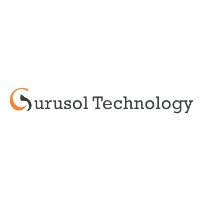 Gurusol Technology Avatar
