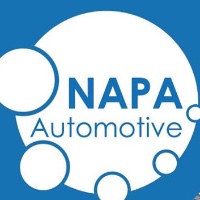 NAPA Team - Custom Web and Mobile Applications Development Avatar