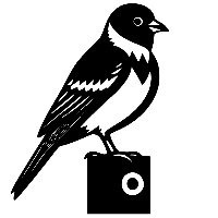 Chimango Labs Avatar