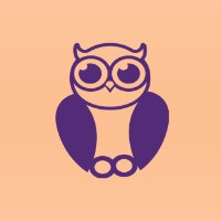 Smart Owl Info Systems Avatar