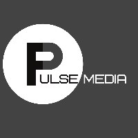 Pulse Media Avatar
