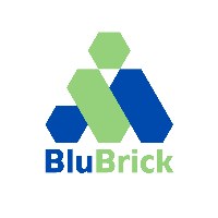 BluBrick Avatar