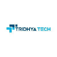 Tridhya Consultancy LLP Avatar