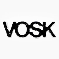 VOSK Avatar