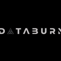 Databurn Avatar