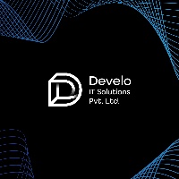Develo IT Solutions Avatar