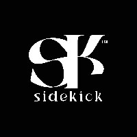 Sidekick Virtual Assistant Agency Avatar