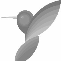 Wrapd Media Avatar