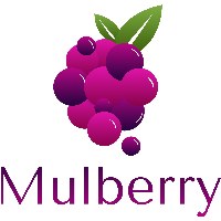 Mulberry Solutions LLP Avatar