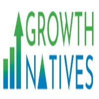 Growth Natives® Salesforce Partner | HubSpot Platinum Partner | Creative Services Avatar