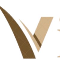 VividCo Avatar