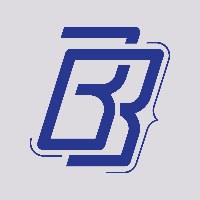Beyond Bracket Ltd. Avatar