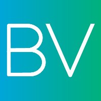 BrandVerge, Inc. Avatar