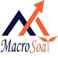 Macro Soar Avatar