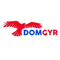 DOMGYR Avatar