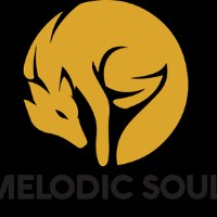 Melodic Soul Ent. Avatar