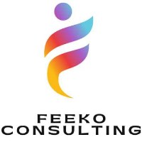 Feeko Consulting Avatar