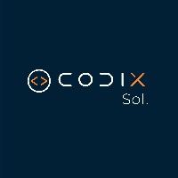 CodixSol Avatar