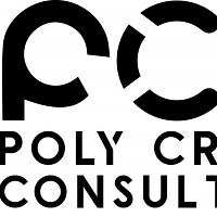 PolyCraft Consulting Avatar