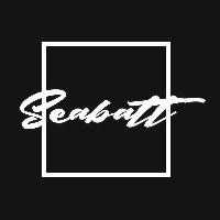 Seabatt Digital Avatar