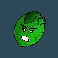 Angry Lime Software Consulting Avatar