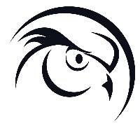Shadow Owl Studios Avatar