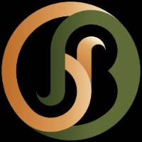 JNB Exectant Virtual Assistance Services Avatar