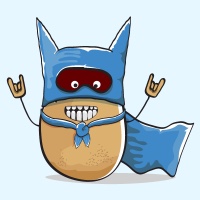 Gem State Software Avatar