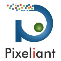 Pixeliant Avatar