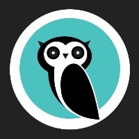 OwlSurf Digital Avatar